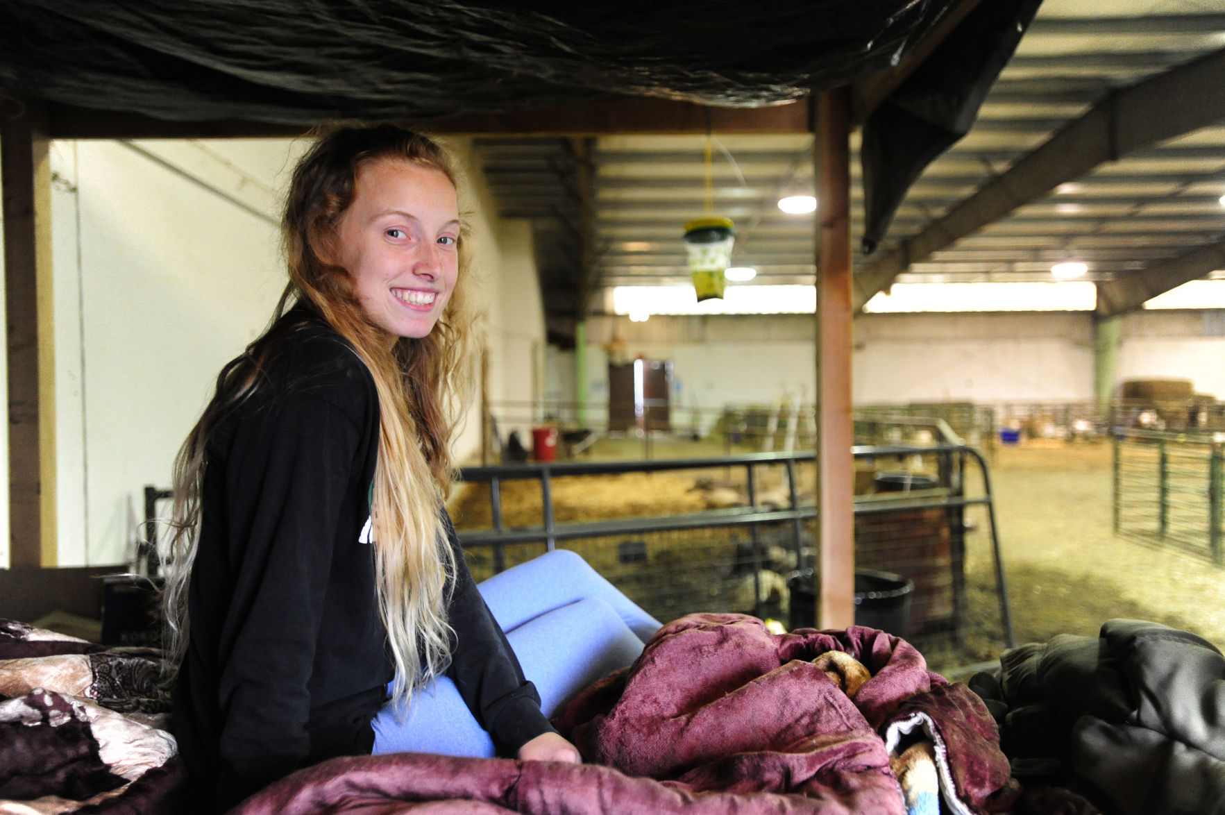 Sheltering animals displaced by Chetco Bar Fire